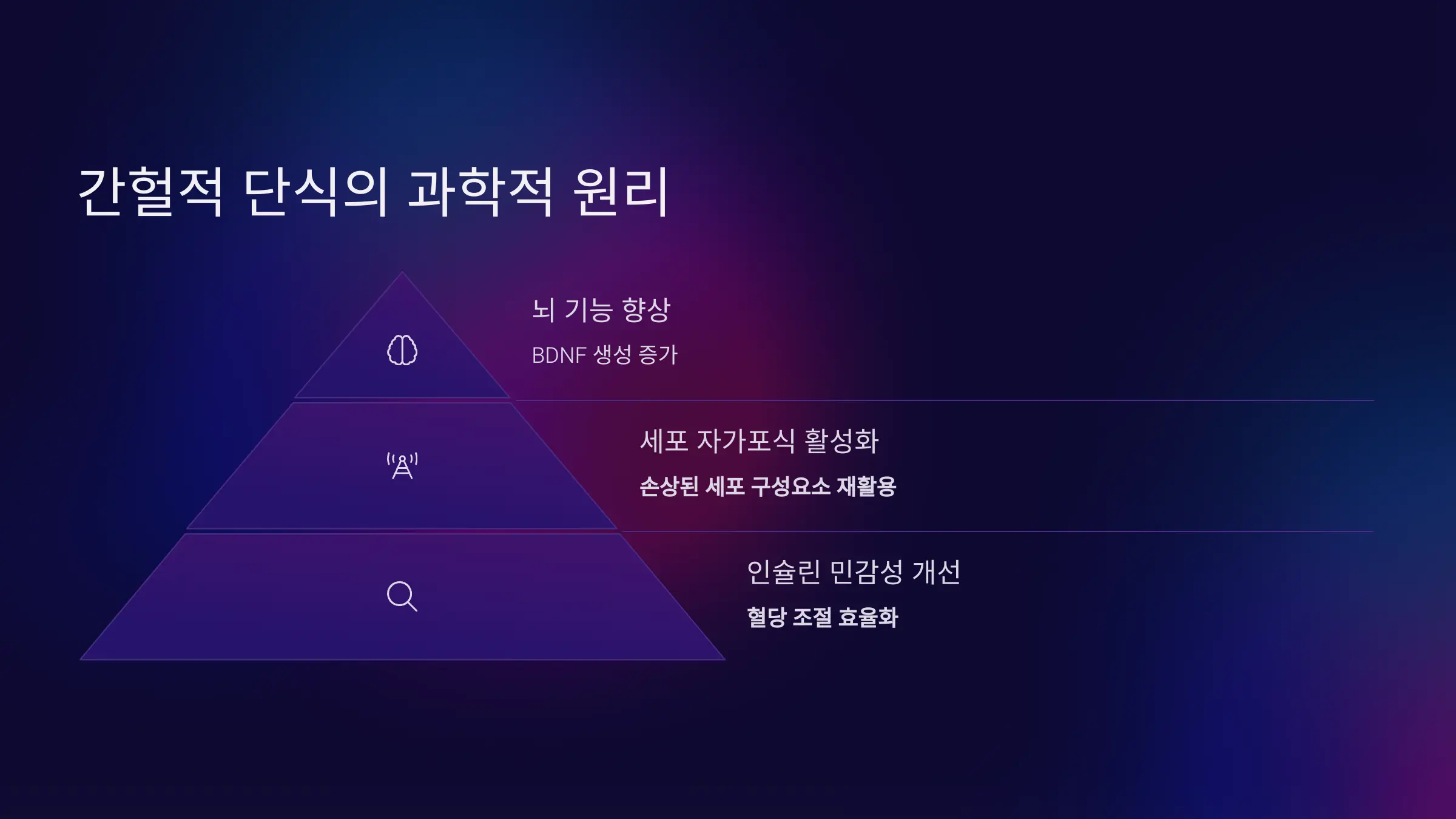 간헐적 단식의 핵심 원리 및 과학적 효과 분석