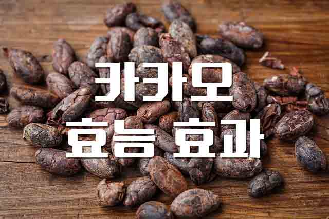  카카오, 당신이 몰랐던 천연 보습제 효능