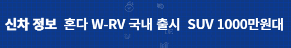 신차 정보/혼다 W-RV 국내 출시/SUV 1000만원대