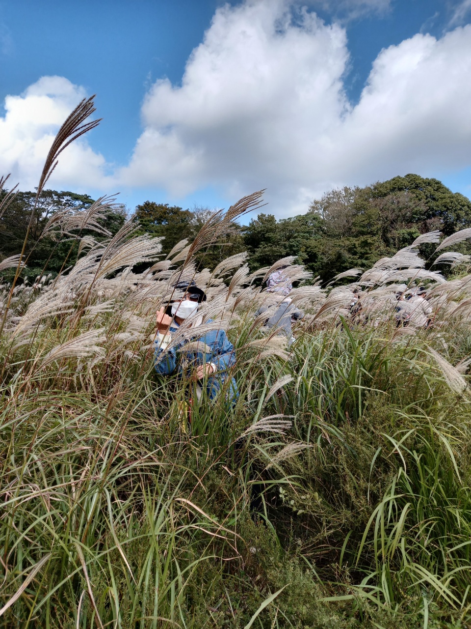 가족여행 저렴하게 대절 굿 제주도 승합차 투어 9