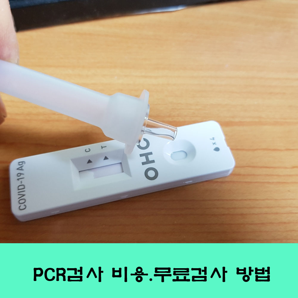  코로나19, PCR 검사, 코로나검사 가격, 무료검사 받는 방법.