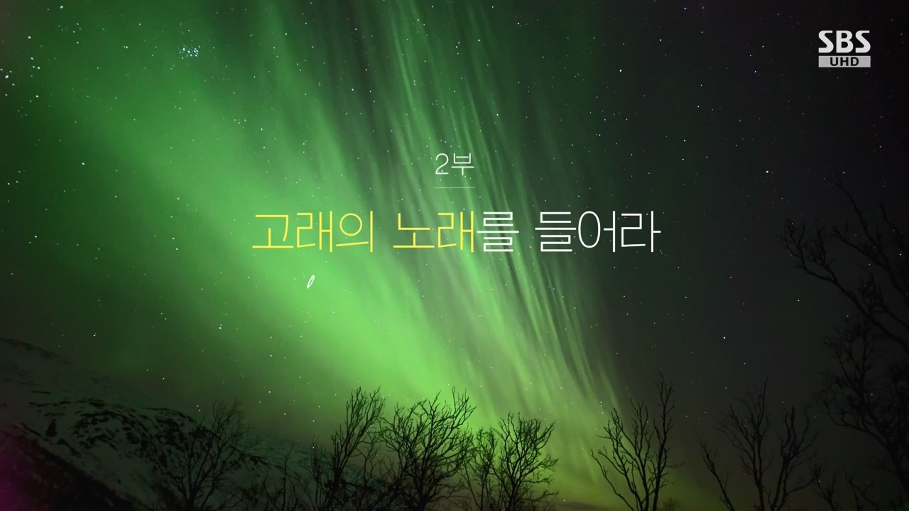창사특집 다큐멘터리 고래와 나.E02.231126p-NEXT.mp4_20231126_163208.412.jpg