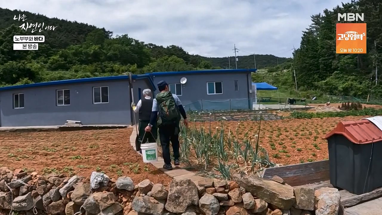 나는 자연인이다.E610.240620p-NEXT.mp4_20240620_194747.473.jpg