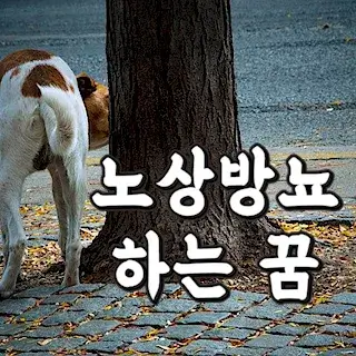 dog-강아지-오줌-누는-꿈-해몽-꿈풀이