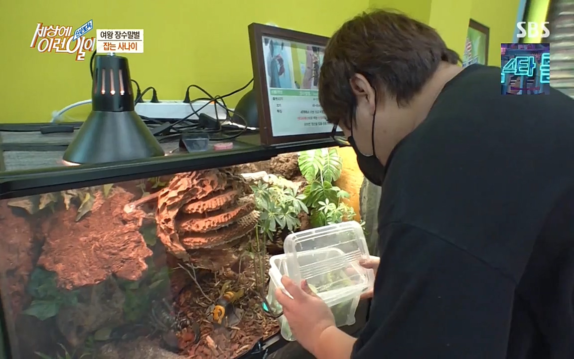 순간포착 세상에 이런일이.E1180.220518p-NEXT.mp4_20220518_181615.105.jpg