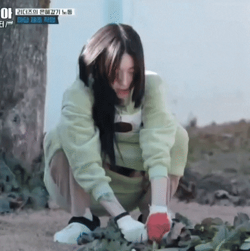  모니카 코어력.gif