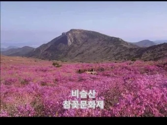 비슬산 참꽃축제 등산코스 맛집_23