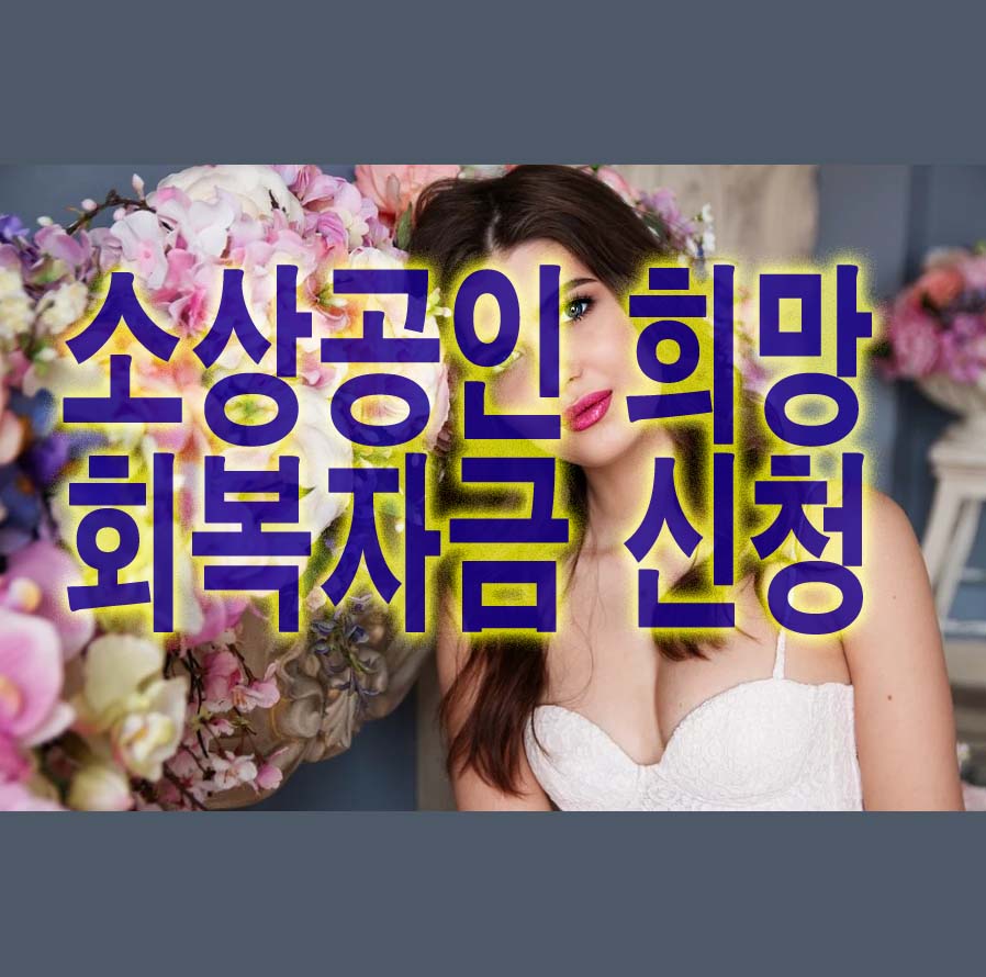  소상공인 희망회복자금 신청