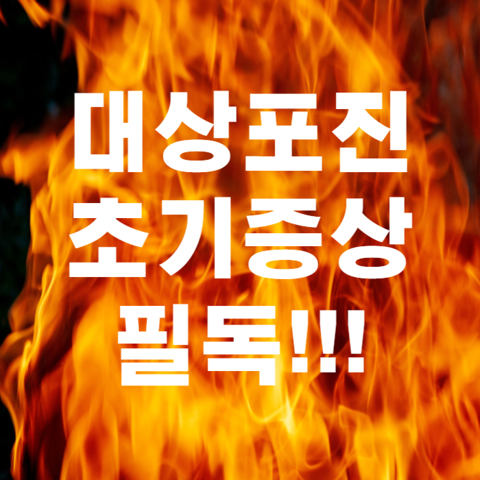 대상포진 초기증상