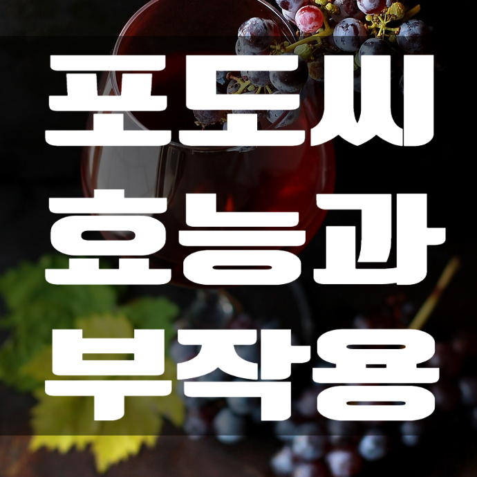  포도씨 효능 9가지와 부작용