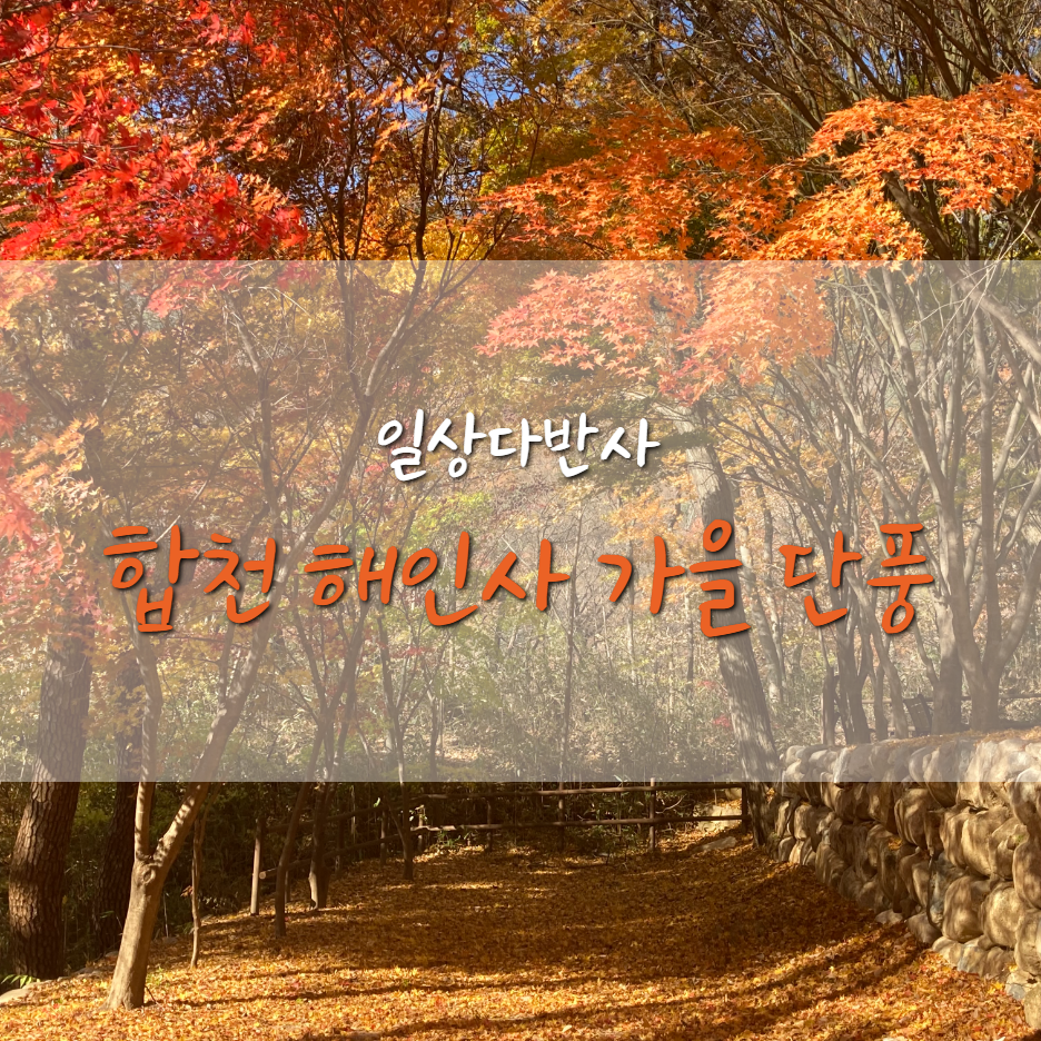  가야산 합천 해인사 단풍
