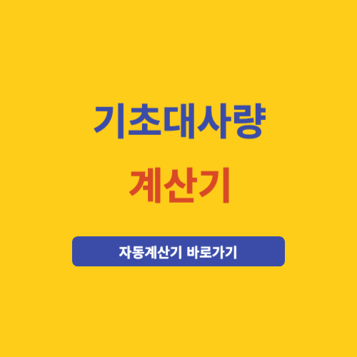 기초대사량 계산기