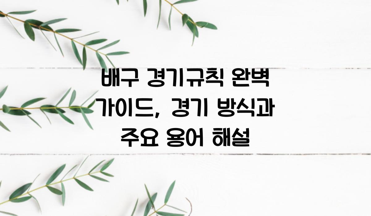 배구 경기규칙