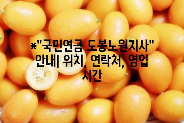 랜덤135