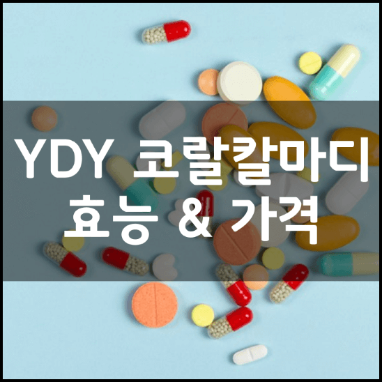 YDY-코랄칼마디-성분-효능-3가지-가격