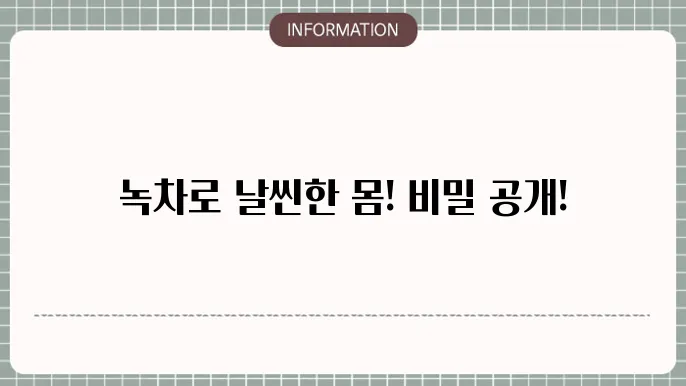 다이어트 녹차