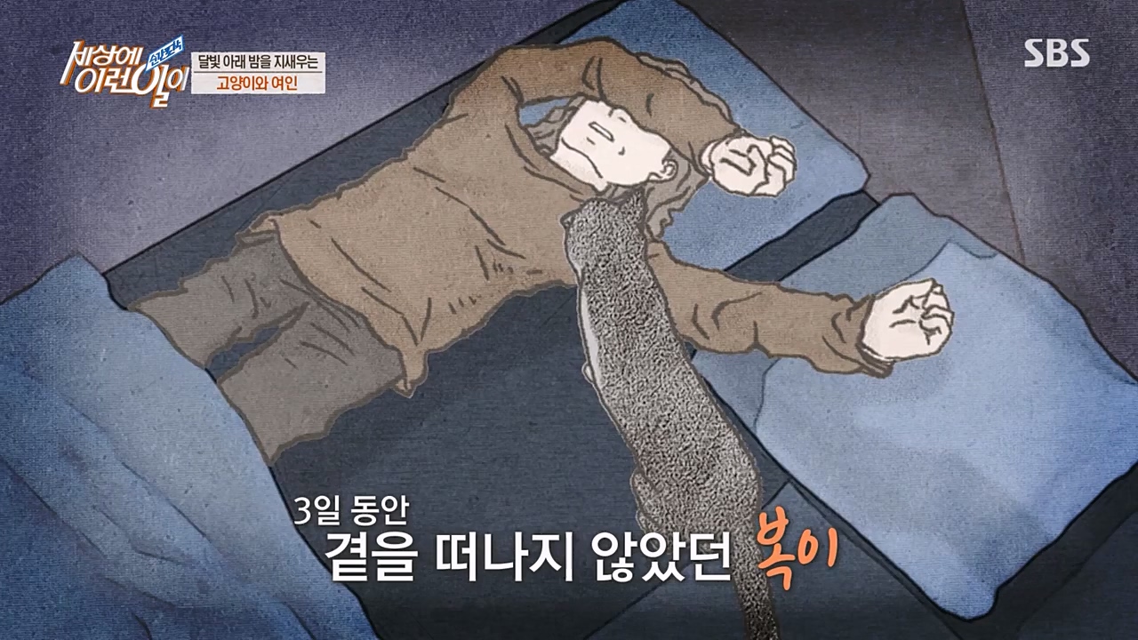 순간포착 세상에 이런일이.E1223.230329p-NEXT.mp4_20230329_192702.824.jpg