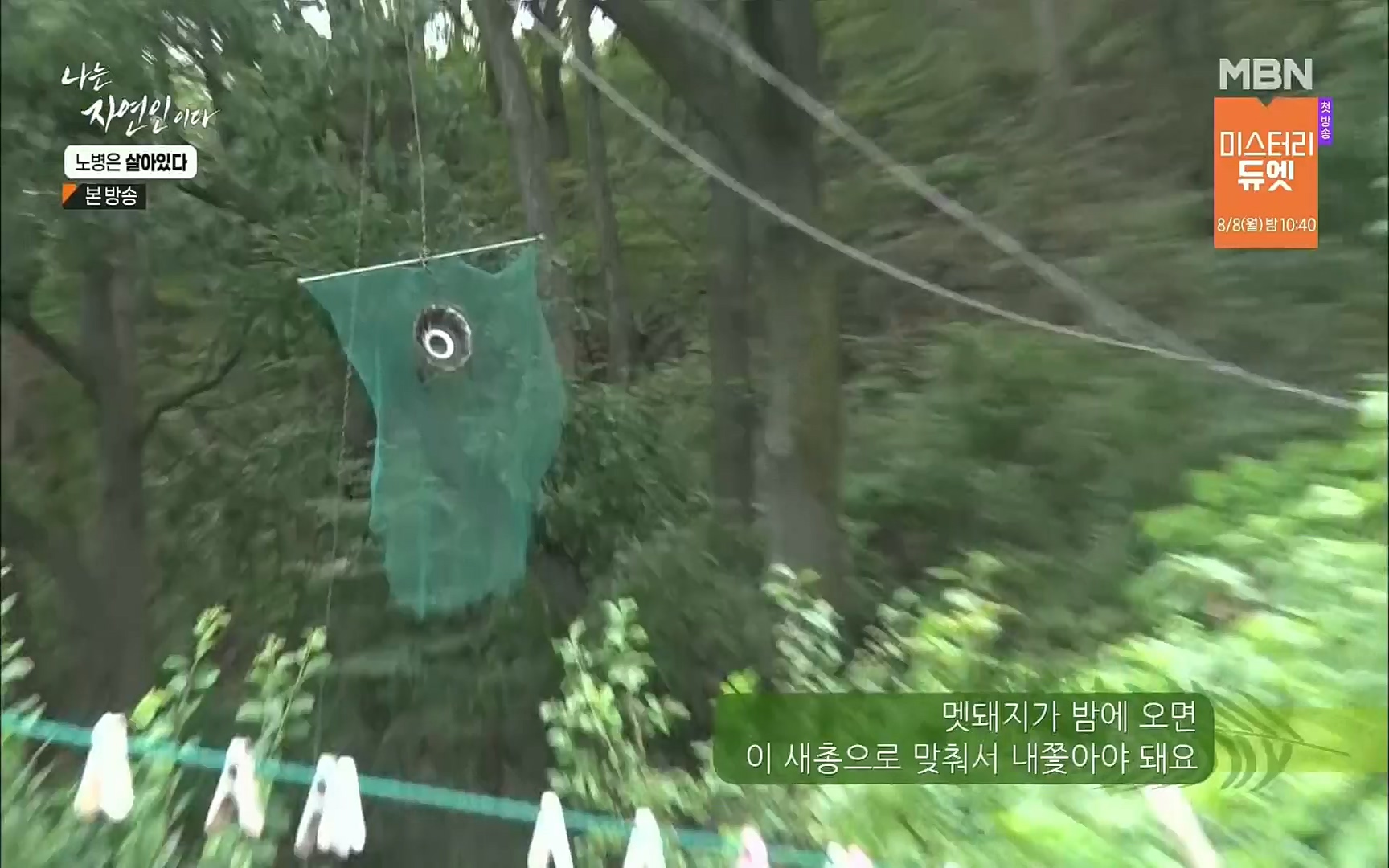 나는 자연인이다.E512.220727p.H264-F1RST.mp4_20220728_200925.117.jpg