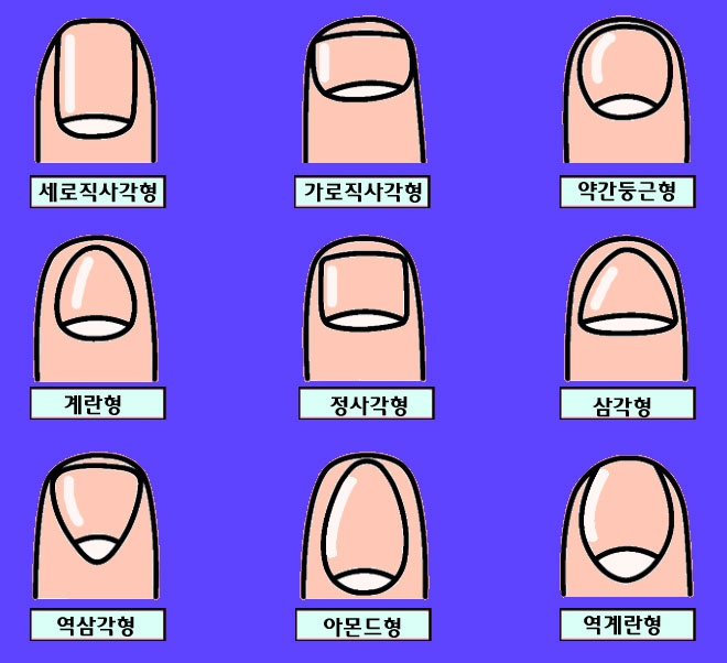  재미로 보는 9가지 손톱 모양으로 본 자신의 성격