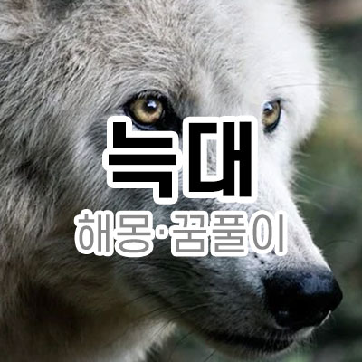 늑대 해몽 꿈 풀이