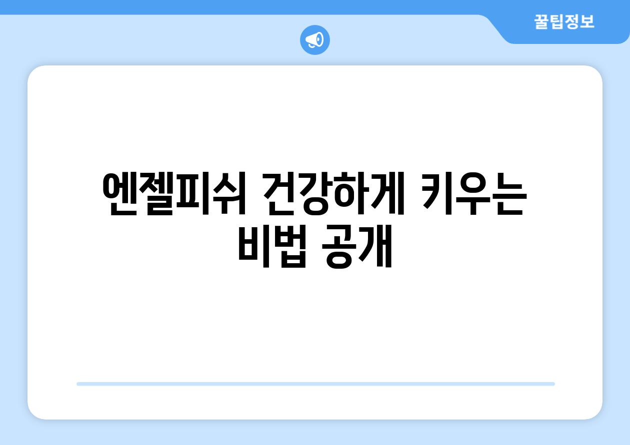 엔젤피쉬, 건강하게 키우는 비법 공개