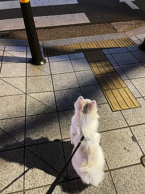 밥을안먹어요 19
