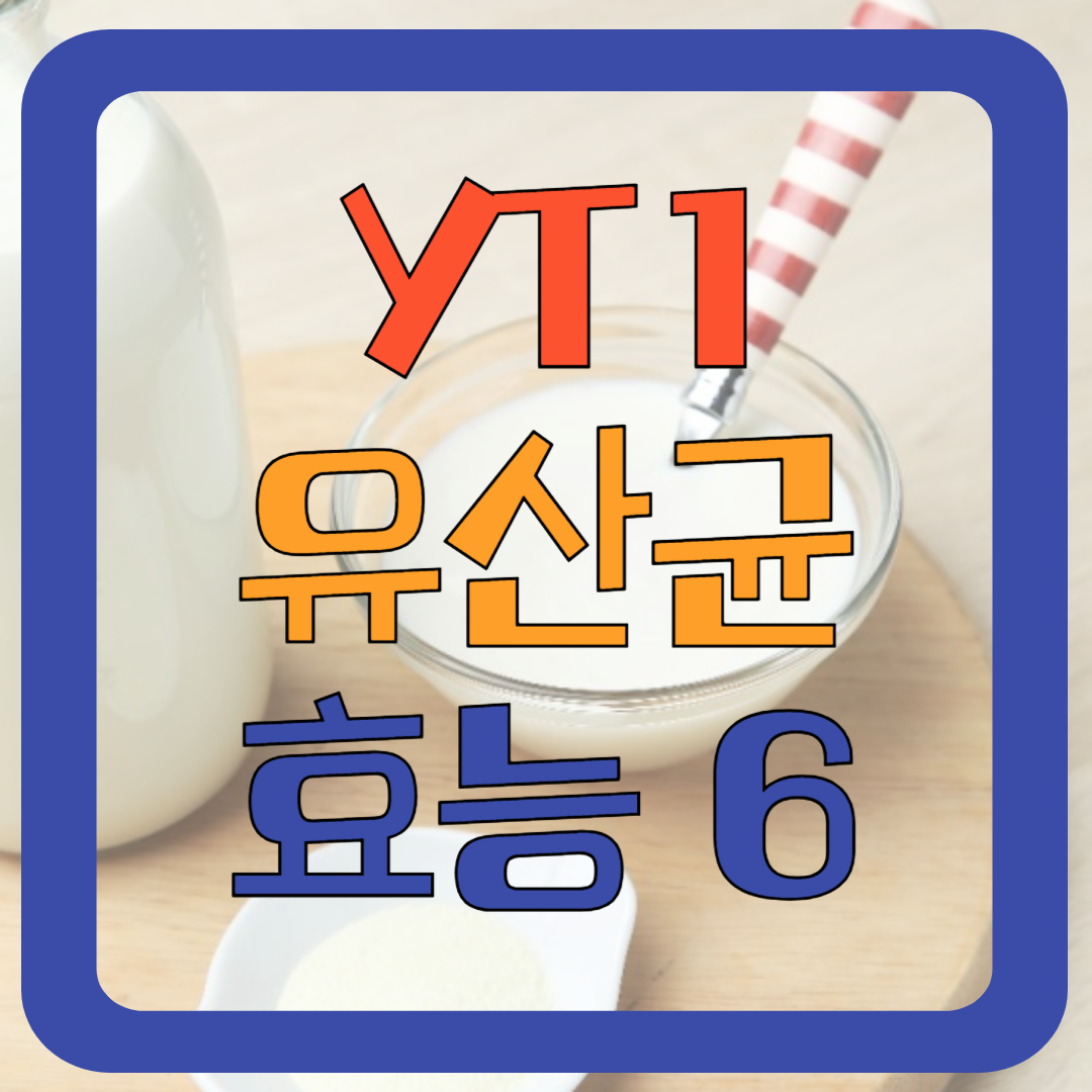 갱년기 유산균 YT 1 효능