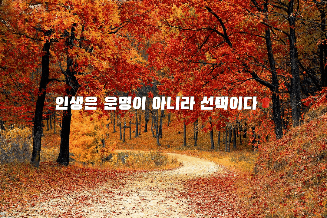  인생은 운명이 아니라 선택이다