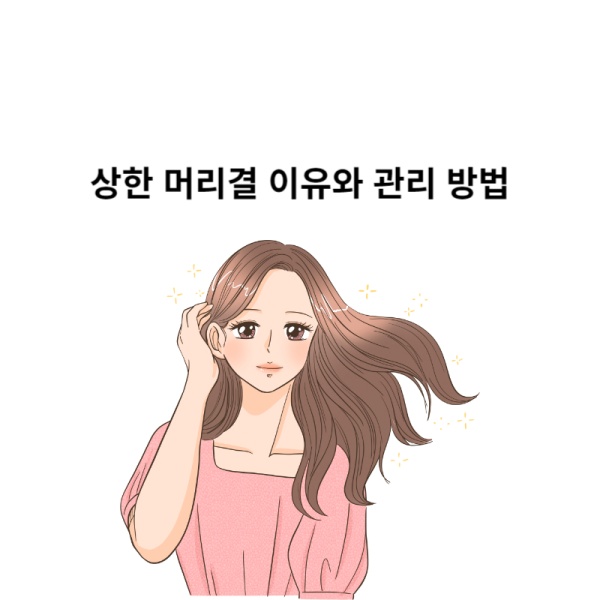  상한 머리결 어떻게 관리해야할까? 바로 알려드릴게요.