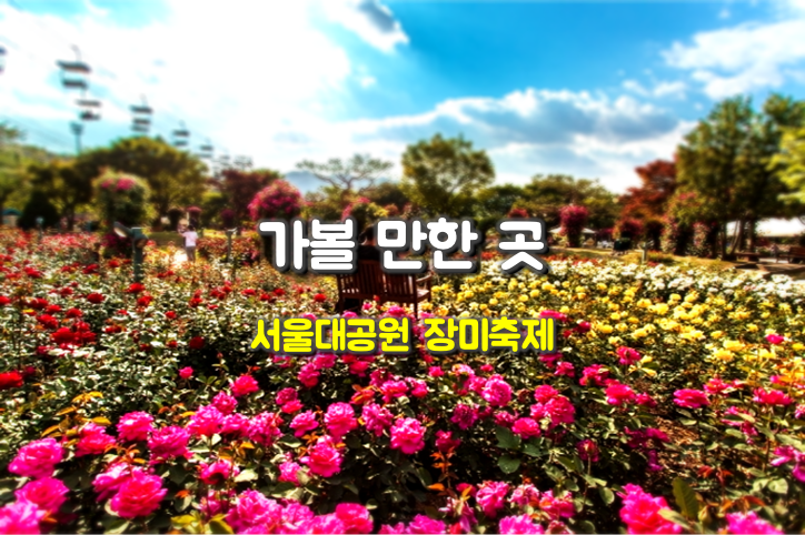  가볼만한곳 서울대공원 장미축제