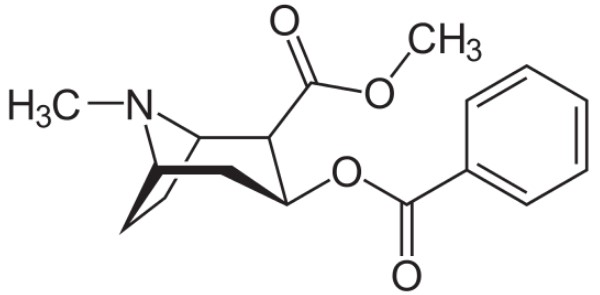 코카인 화학식
