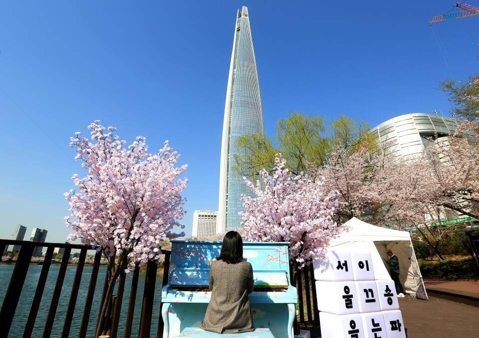 2024 벚꽃 개회시기
2024 벚꽃 만개시기
2024 서울 벚꽃 개회시기
2024 석촌호수 벚꽃축제
석촌호수 벚꽃축제 2024