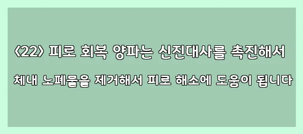  <22> 피로 회복 양파는 신진대사를 촉진해서 체내 노폐물을 제거해서 피로 해소에 도움이 됩니다