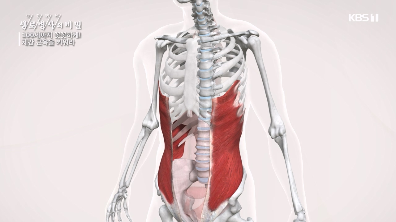 생로병사의 비밀.E885.231012p-NEXT.mp4_20231012_203441.688.jpg