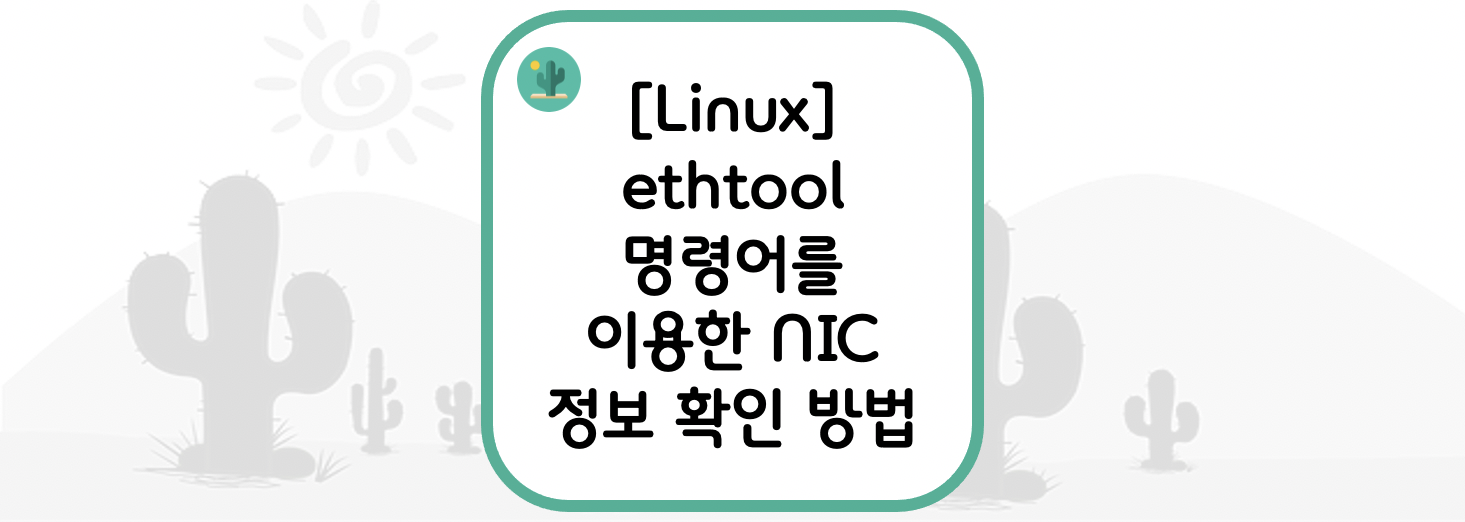 [Linux] ethtool 명령어를 이용한 NIC 정보 확인 방법