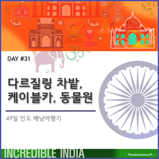  인도 배낭여행 - 다르질링 차밭, 케이블카, 히말라야 동물원 - DAY 31