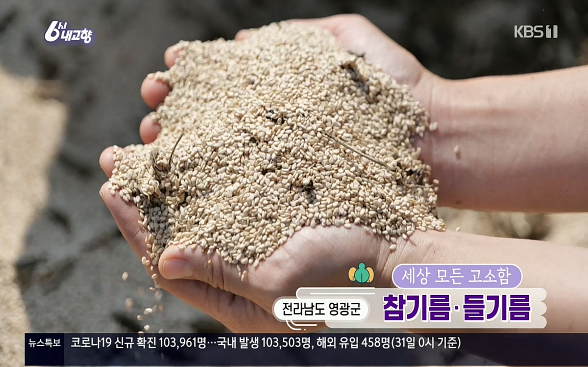 6시 내고향.E7608.220832p.H264-F1RST.mp4_20220901_201146.061.jpg