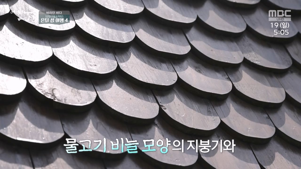 MBC 네트워크 특선 푸른백세 어영차 바다야.E1648.231120p-NEXT.mp4_20231122_203400.633.jpg