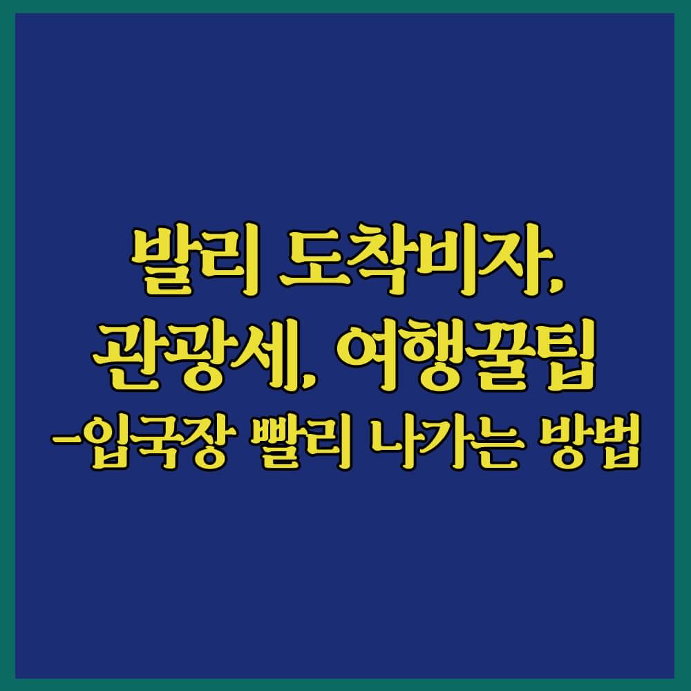 발리, 발리여행, 발리도착비자, 발리관광세, EVOA, 발리입국장빨리통과하는방법, 발리여행꿀팁