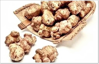 돼지감자 (따탕지)