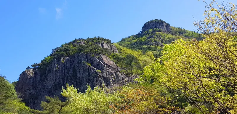 밀양 구만산