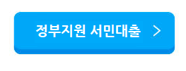 정부지원 대출