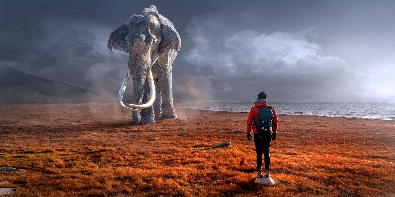 엄청나게 거대한 코끼리 앞에 사람이 마주한 사진