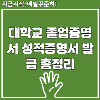 대학교 졸업증명서 성적증명서 발급 총정리