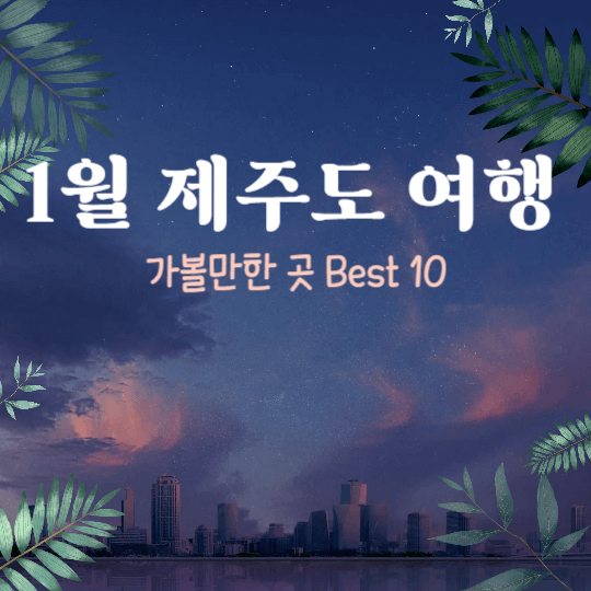 1월-제주도