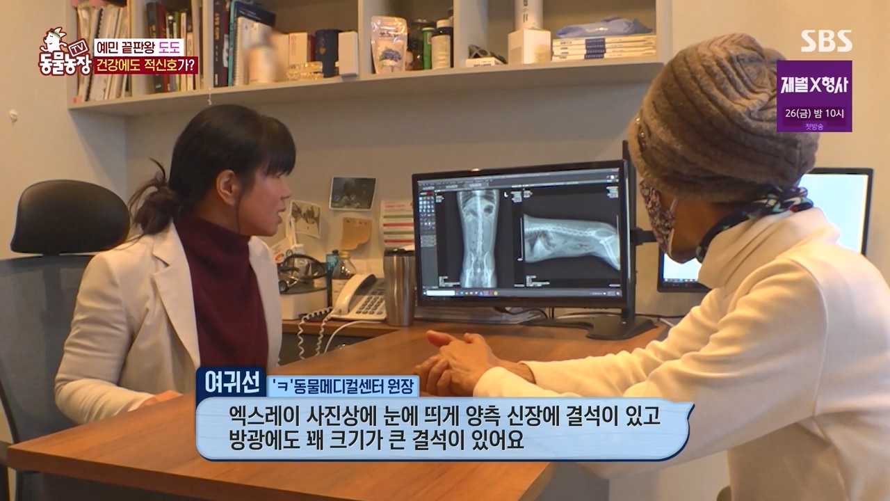 TV 동물농장.E1155.240122p-NEXT.mp4_20240121_145942.805.jpg