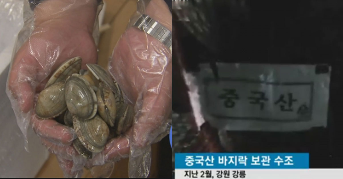  '중국산→국내산, 국내산→일본산'이 된 수출 레전드
