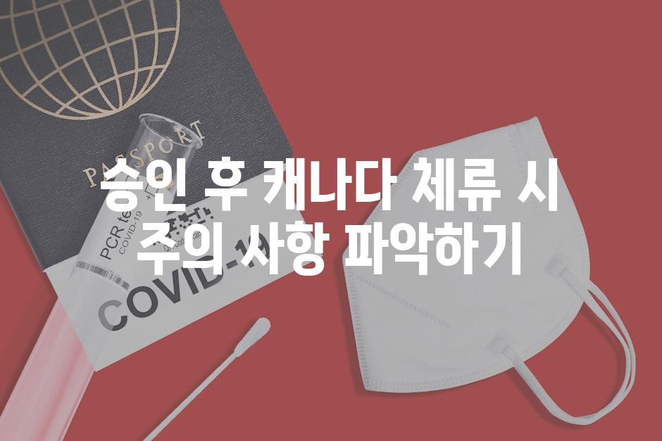 승인 후 캐나다 체류 시 주의 사항 파악하기