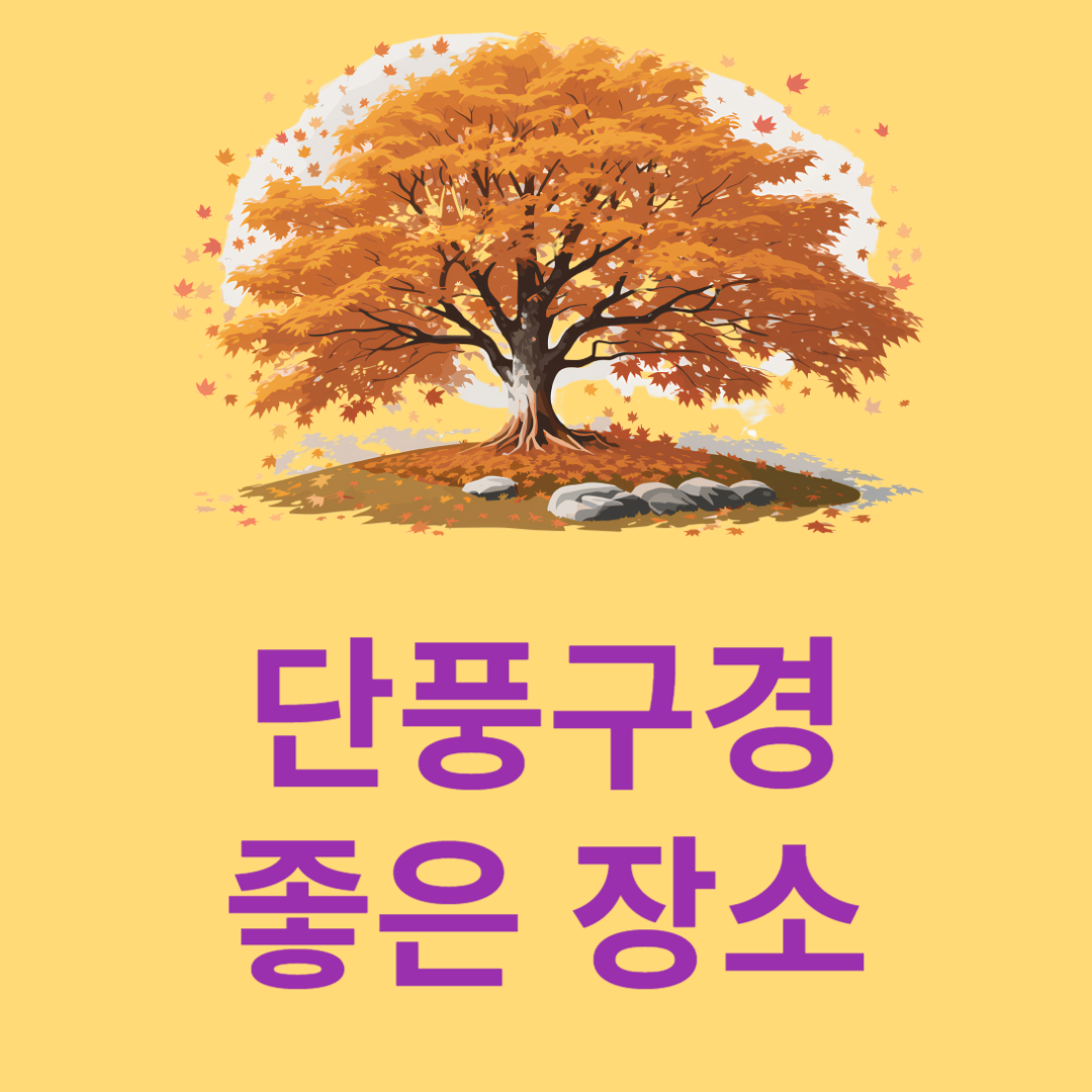 이번주 단풍구경