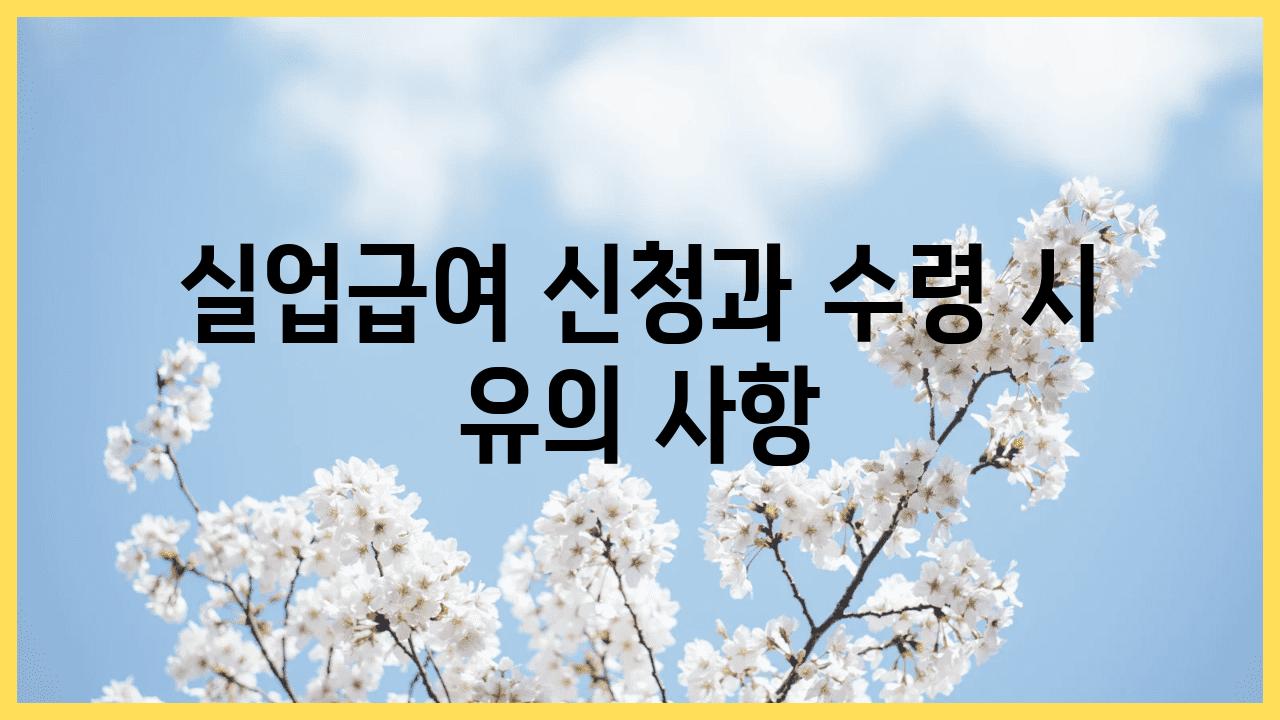 실업급여 신청과 수령 시 유의 사항